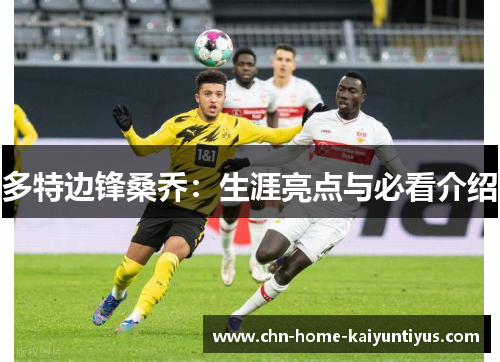 多特边锋桑乔：生涯亮点与必看介绍