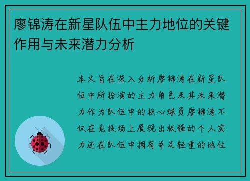 廖锦涛在新星队伍中主力地位的关键作用与未来潜力分析