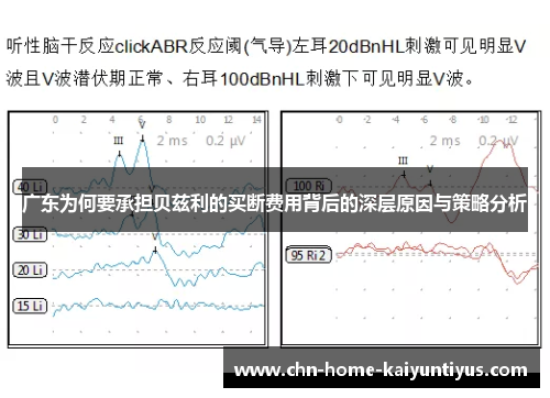 广东为何要承担贝兹利的买断费用背后的深层原因与策略分析