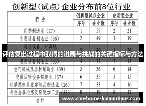 评估复出过程中取得的进展与挑战的关键指标与方法 评估复出过程中取得的进展与挑战的关键指标与方法