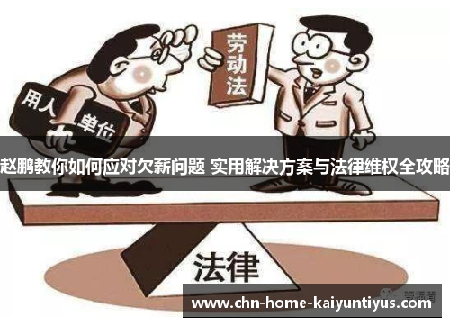 赵鹏教你如何应对欠薪问题 实用解决方案与法律维权全攻略