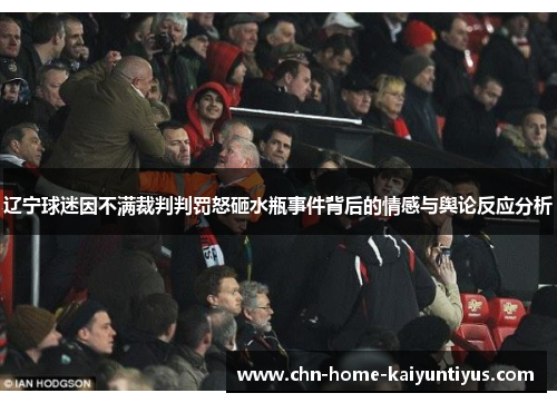 辽宁球迷因不满裁判判罚怒砸水瓶事件背后的情感与舆论反应分析