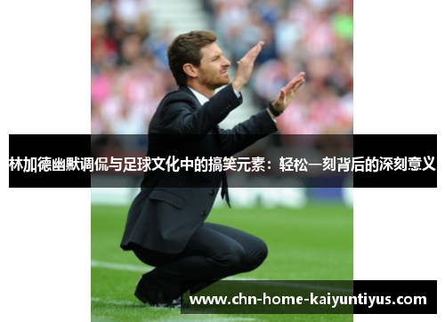 林加德幽默调侃与足球文化中的搞笑元素:轻松一刻背后的深刻意义 林加德幽默调侃与足球文化中的搞笑元素:轻松一刻背后的深刻意义