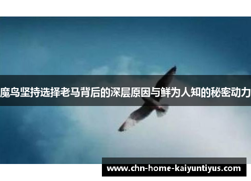 魔鸟坚持选择老马背后的深层原因与鲜为人知的秘密动力