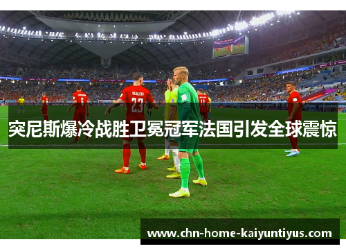 突尼斯爆冷战胜卫冕冠军法国引发全球震惊 突尼斯爆冷战胜卫冕冠军法国引发全球震惊