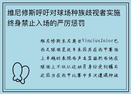 维尼修斯呼吁对球场种族歧视者实施终身禁止入场的严厉惩罚